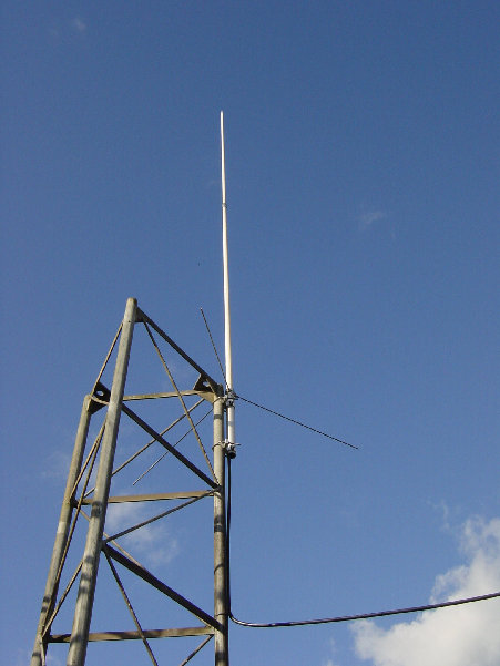 De rondstraler eenzaam op 4 meter hoogte